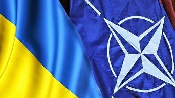 НАТО не признает референдум по вступлению Украины в альянс, считают в ДНР