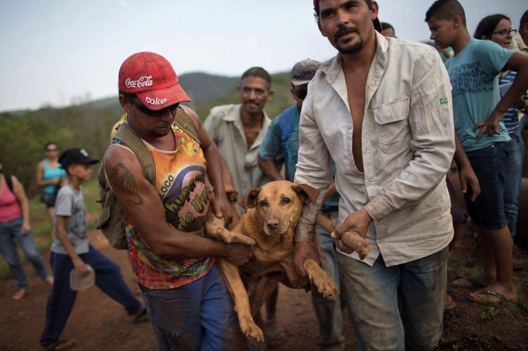 Бразилия последствия прорыва дамбы, работа спасателей