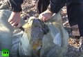 В Хабаровском крае полицейские уничтожили 511 кг черной икры