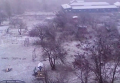 Первый снег в Житомире. Видео