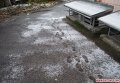Снег в Житомире