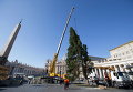Прибывшую из Баварии 25-метровую елку устанавливают на площади в Ватикане