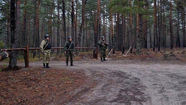 Национальная гвардия охраняет лес от добытчиков янтаря