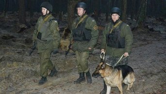 Национальная гвардия охраняет лес от добытчиков янтаря