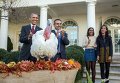 Барак Обама помиловал индейку ко Дню благодарения