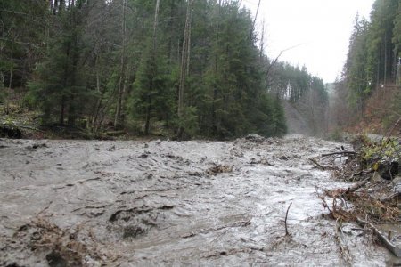 Последствия паводка в Закарпатье