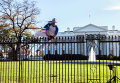 Мужчина перепрыгивает через забор Белого Дома, нарушитель был сразу задержан правоохранителями