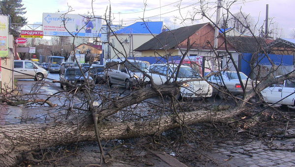 Последствия непогоды в Черновицкой области