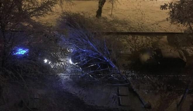 Сломанное дерево в Харькове в результате непогоды