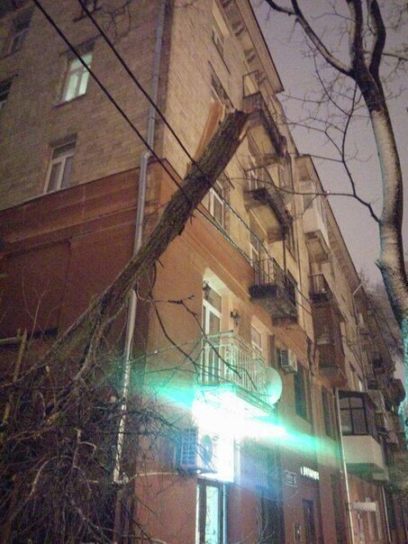 Сломанное в результате непогоды в Харькове дерево