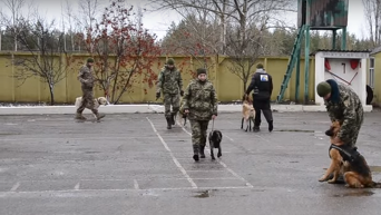 На Луганщине служебных собак одели в бронежилеты