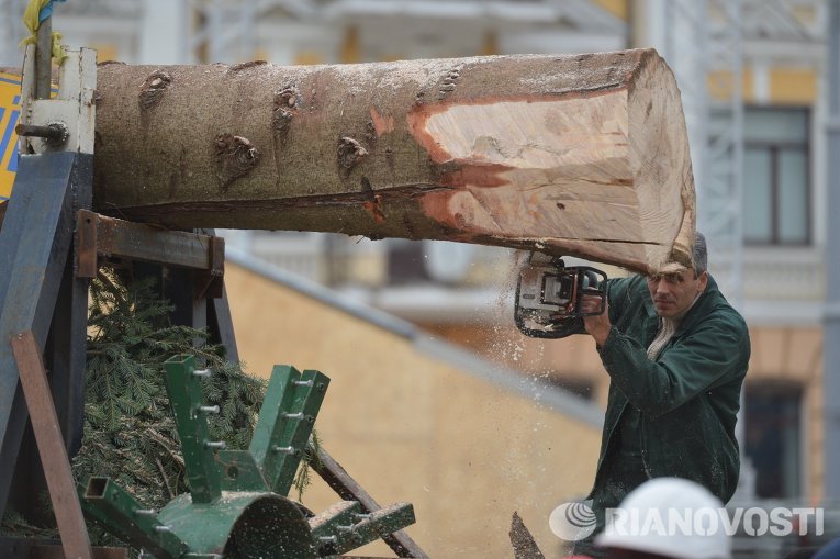 Главная новогодняя елка страны прибыла в Киев