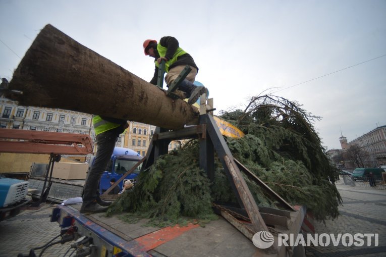 Главная новогодняя елка страны прибыла в Киев