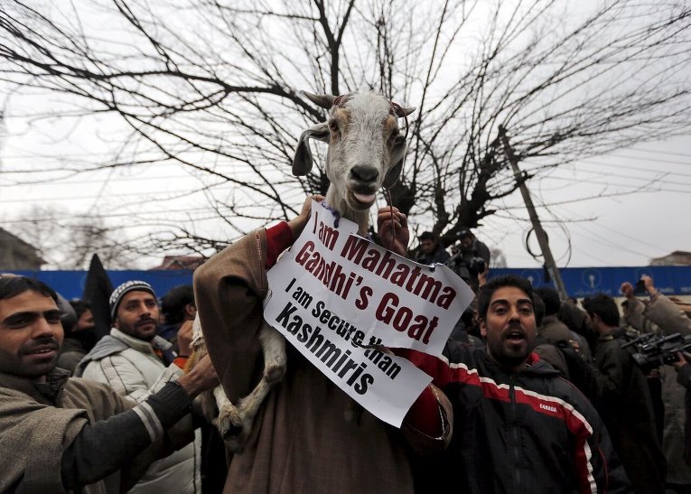 Акция в Кашмире, приуроченная к Международному дню прав человека.