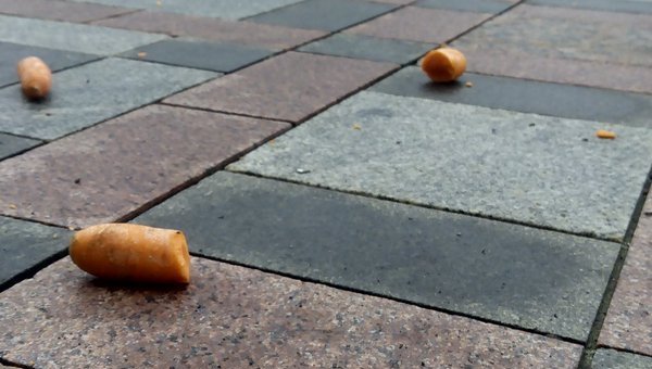 Площадь под Верховной Радой забросали морковкой