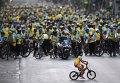 В Таиланде сотни тысяч человек присоединились к велопробегу, посвященному 88-летию короля