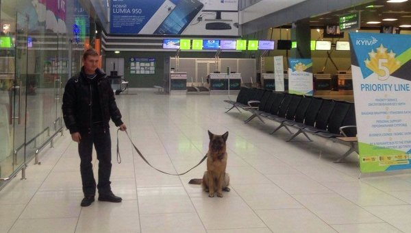Специалист-взрывотехник со служебной собакой в аэропорту Киев