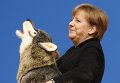 Канцлер Германии Ангела Меркель получила подарок: во время съезда Христианско-демократического союза Германии в Карлсруэ ей подарили плюшевого друга. В честь грядущего Рождества Меркель вручили мягкую игрушку в виде воющего волка.
