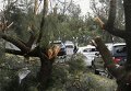 Последствия Торнадо в Сиднее