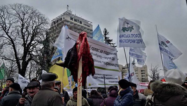 Митинг аграриев под Верховной Радой 17 декабря 2015 года