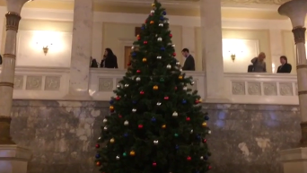 Новогодняя елка в Раде. Видео