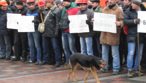 Бездомная собака бежит вдоль шахтеров, митингующих под Верховной Радой
