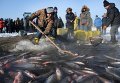Люди участвуют в зимней рыбалки на озере в китайской провинции Хэйлунцзян