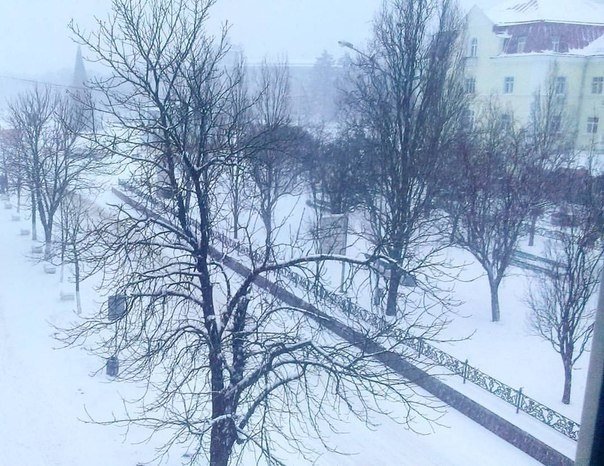 Снегопад в Чернигове