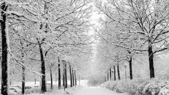 Зима в Чернигове