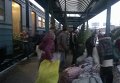 Пассажиры пригородных поездов во Львовской области массово перевозят елки