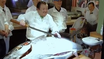 На последних в токийском Цукидзи торгах продали самого большого тунца. Видео