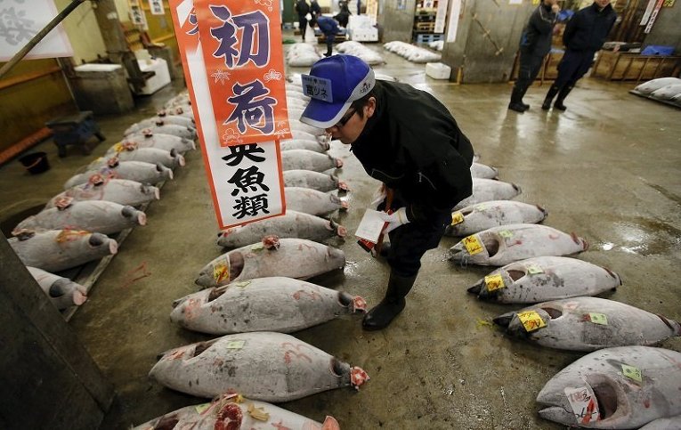 Токийский рыбный рынок Цукидзи. Новогодний аукцион тунца