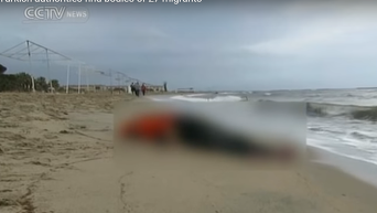 Тела 27 мигрантов обнаружены на побережье Эгейского моря в Турции