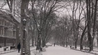 Одессу засыпало снегом. Видео