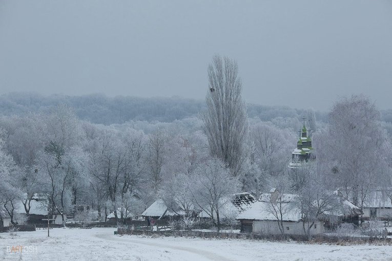 Зимние красоты в Пирогово