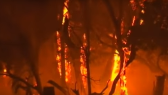 Австралия: пожаром уничтожено около 100 домов