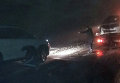 Полиция и спасатели вытаскивают авто из заносов