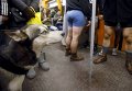 Участники флеш-моба В метро без штанов в Вене, Австрия