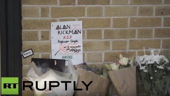 Лондонцы почтили память Алана Рикмана на платформе 9 ¾