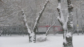 Мощный снегопад в Запорожье