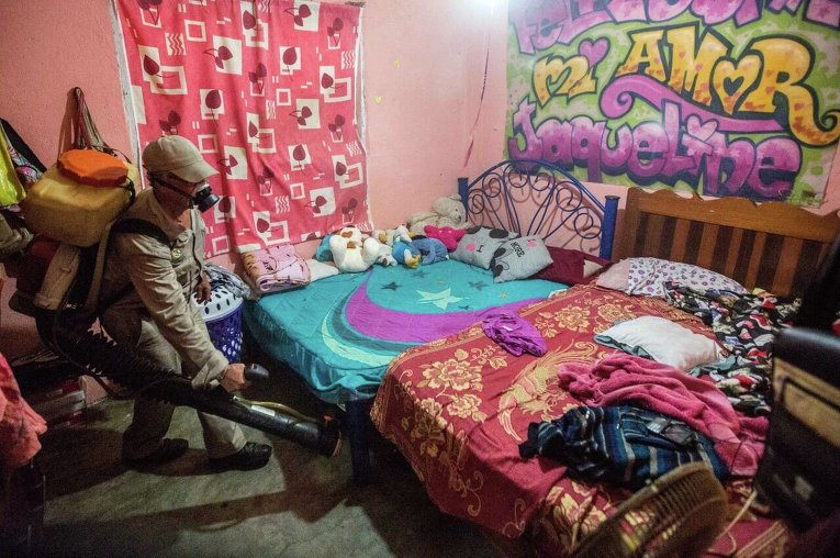 Окуривание дымом домов в мексиканском Акапулько из-за вируса Зика