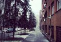 Киев замело снегом