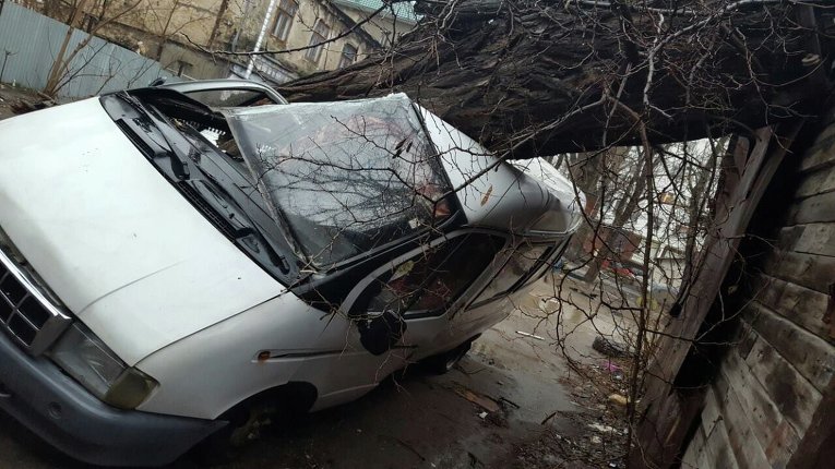 Дерево раздавило Газель в Одессе