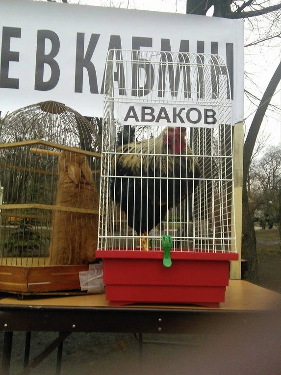 Митинг с требованием отставки Яценюка и Кабмина 16 февраля
