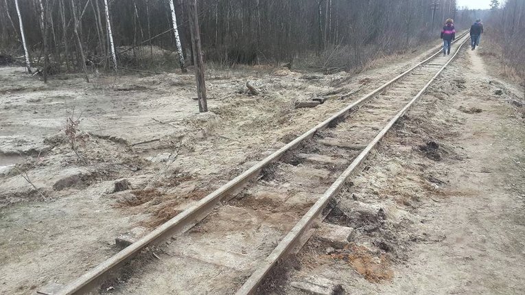 Последствия нелегальной добычи янтаря в Ровенской области