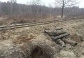 Последствия нелегальной добычи янтаря в Ровенской области