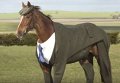 В Британии представлен первый в мире твидовый костюм для лошади