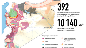 Итоги действий Воздушно-космических сил России в Сирии. Инфографика