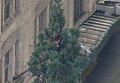 Житель Сиэтла провел на дереве больше суток. Видео