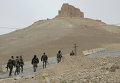 Сирийская армия и ополчение ведут бои за Пальмиру. Архивное фото